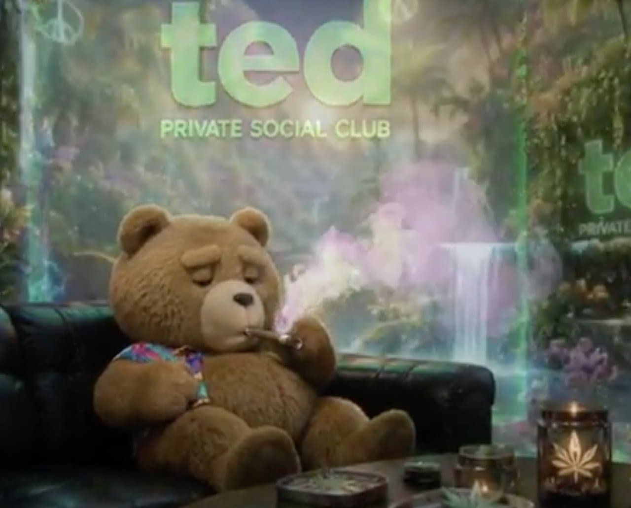 Ted the bear relaxing on a sofa at the TED Private Social Club lounge in Salou
